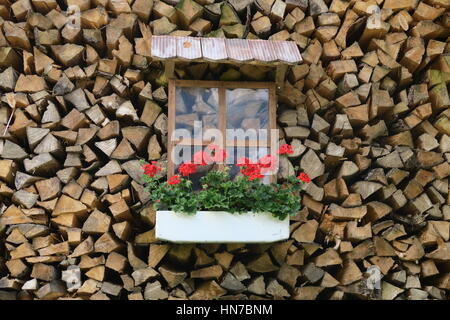 Une jolie petite fenêtre avec quelques fleurs sur une pile de grumes de bois de feu Banque D'Images