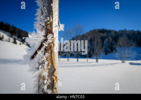 Cristaux de glace sur perche Banque D'Images