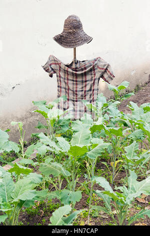 Un petit épouvantail rustique se dresse dans un jardin avec un chapeau de paille et une chemise à carreaux, entouré de plantes vertes feuillues. Banque D'Images