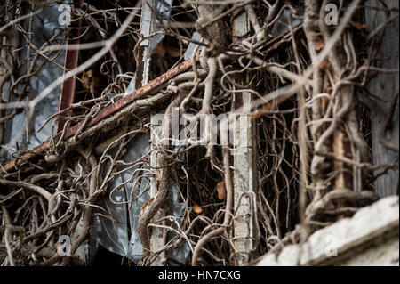 Des capacités en Lydney Harbour Industrial Estate, Gloucestershire, Royaume-Uni. Banque D'Images