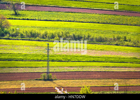 Les champs agricoles couches horizontales et de vertes prairies Banque D'Images