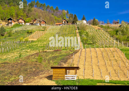 Vignobles de montagne idyllique village de Prigorec près de Ivanscica, Zagorje, Croatie Banque D'Images