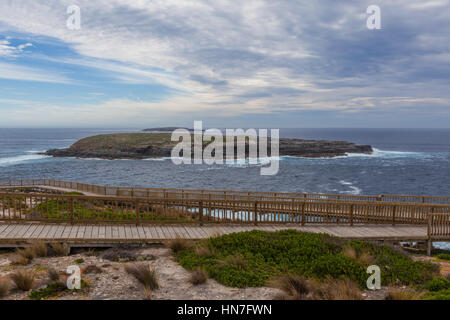 Cap du Couedic Boardwalk. Parc national de Flinders Chase, Kangaroo Island, Australie du Sud Banque D'Images