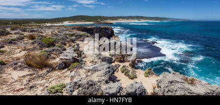 Côte Rocheuse près de Hanson Bay panorama, Kangaroo Island, Australie du Sud Banque D'Images