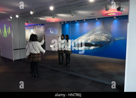 Les gens, les touristes, les jeunes filles qui, à l'autoportrait selfies, miroir de l'Aquarium d'Osaka, Japon, Asie. Requin-baleine image sur l'affiche murale Banque D'Images