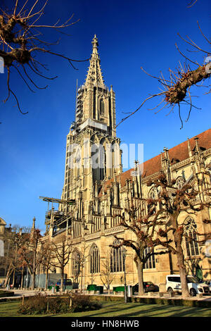 Le clocher de la cathédrale (Münster), dans la vieille ville (Altstadt) de Berne, Suisse. Banque D'Images