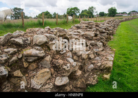 L'Angleterre, dans le Yorkshire, Newcastle - Mur d'Hadrien, également connu sous le nom de l'enceinte romaine, était une fortification défensive dans la province romaine de Britannia construit u Banque D'Images