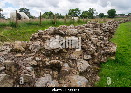 L'Angleterre, dans le Yorkshire, Newcastle - Mur d'Hadrien, également connu sous le nom de l'enceinte romaine, était une fortification défensive dans la province romaine de Britannia construit u Banque D'Images