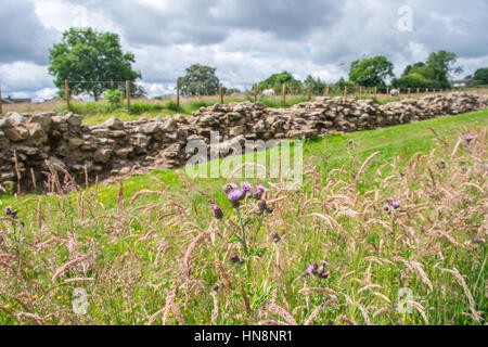 L'Angleterre, dans le Yorkshire, Newcastle - Mur d'Hadrien, également connu sous le nom de l'enceinte romaine, était une fortification défensive dans la province romaine de Britannia construit u Banque D'Images