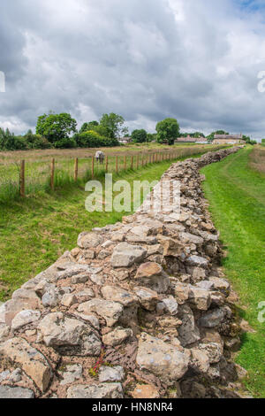 L'Angleterre, dans le Yorkshire, Newcastle - Mur d'Hadrien, également connu sous le nom de l'enceinte romaine, était une fortification défensive dans la province romaine de Britannia construit u Banque D'Images