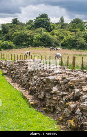 L'Angleterre, dans le Yorkshire, Newcastle - Mur d'Hadrien, également connu sous le nom de l'enceinte romaine, était une fortification défensive dans la province romaine de Britannia construit u Banque D'Images