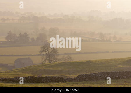 Misty vue sur les murs de pierres sèches et les champs de la manière de Wharfedale Dales sentier près de Grassington, Wharfedale, Yorkshire Dales National Park, Banque D'Images