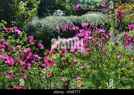 Jardins de Chalice Well, Glastonbury, Somerset, Avalon, UK Banque D'Images