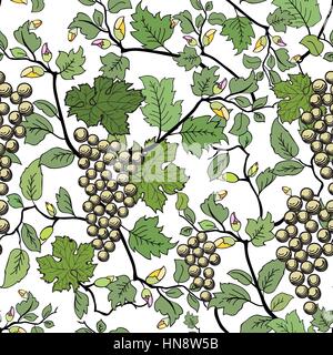 Arrière-plan transparent floral avec fleur décorative. Direction générale de raisin et de fruits. Illustration de Vecteur