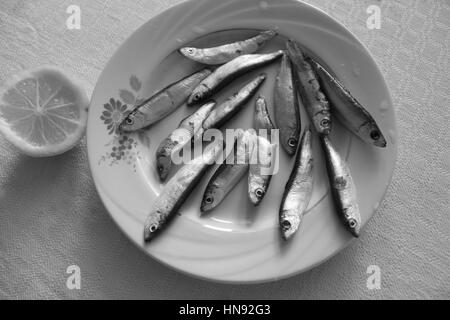 Peu de poissons congelés taille mise en gamme courte en noir et blanc. Non seulement pour manger, mais pour comprendre de la croissance Banque D'Images