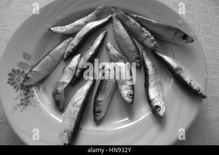 Peu de poissons congelés taille mise en gamme courte en noir et blanc. Non seulement pour manger, mais pour comprendre de la croissance Banque D'Images