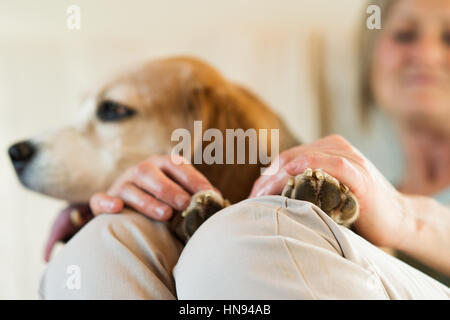 Méconnaissable femme avec son chien à la maison se détendre Banque D'Images