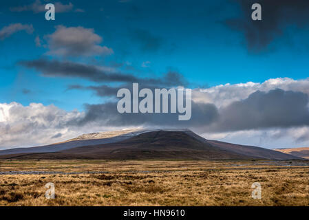 Vu de Whernside brebis Haut de la Yorkshire Dales Banque D'Images