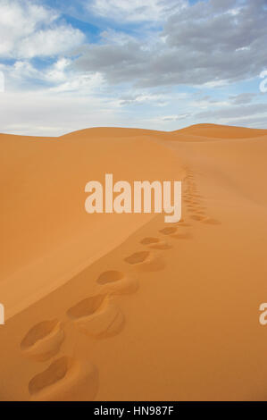 Des empreintes de pas dans les dunes de sable de l'Erg Chebbi, Maroc Banque D'Images