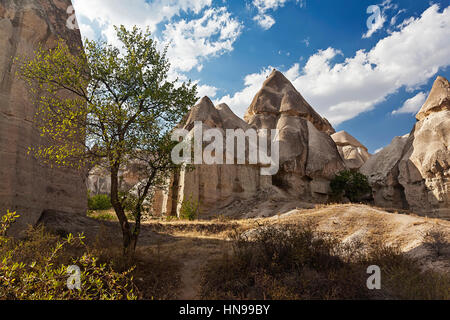 Formation de piliers de pierre dans le désert en Cappadoce, Turquie Banque D'Images