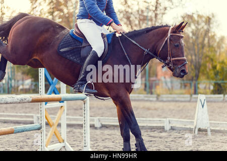 Close up image de cheval Saut d'obstacle au cso sur la barre. Les tons de couleurs chaudes de droit Banque D'Images