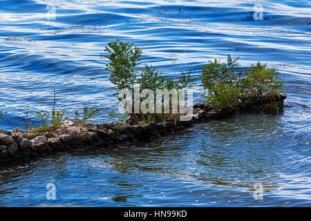 Petit quai sur la rivière recouverte d'arbres Banque D'Images