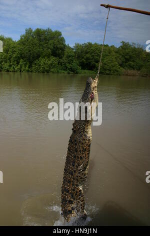 Adelaide River, Territoires du Nord, Australie Banque D'Images