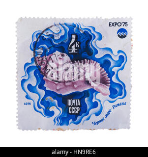 Urss- circa 1975 : timbre imprimé dans la montre royal mer sh Banque D'Images