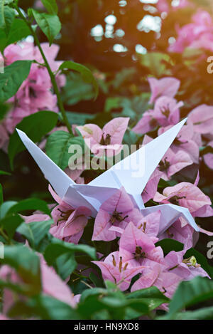 Un livre blanc grue en arrière-plan de fleurs roses Banque D'Images