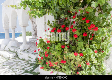 Rue typique avec des fleurs Paros Grèce Banque D'Images