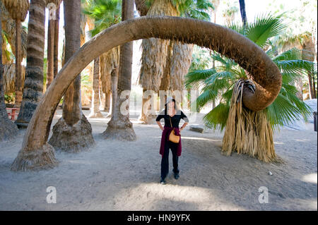 Les canyons Indiens à Palm Springs, Californie Banque D'Images