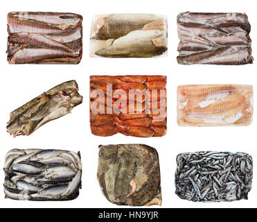 Ensemble d'un autre poisson congelé. isolé sur fond blanc Banque D'Images