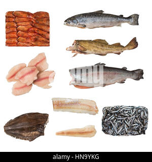 Ensemble d'un autre poisson congelé. isolé sur fond blanc Banque D'Images