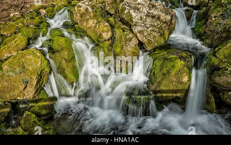 Source de la rivière qui fait de cascades sur les rochers couverts de mousse au début du printemps Banque D'Images