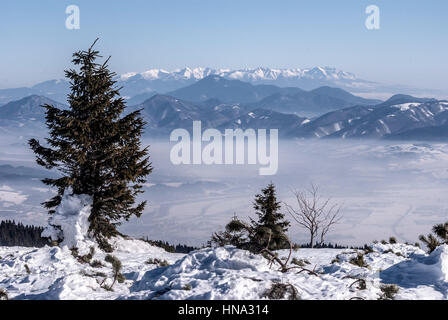 Montagnes tatras de Velka luka hill dans les montagnes Mala fatra en Slovaquie lors de belle journée d'hiver de neige et de ciel clair Banque D'Images