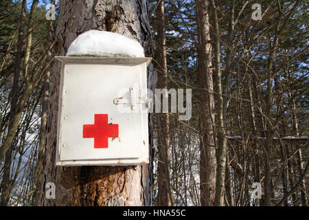 Trousse d'urgence médicale dans la forêt Banque D'Images