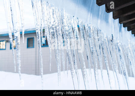 Les glaçons pendant vers le bas d'un toit Banque D'Images