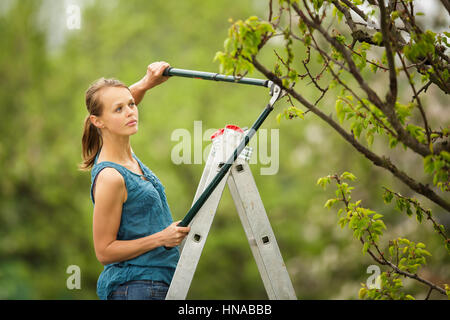 Jolie jeune femme jardinage dans son verger/jardin (tons de couleur libre) Banque D'Images