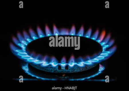 Une flamme bleue à partir d'un brûleur bas sur une cuisinière à gaz. Banque D'Images