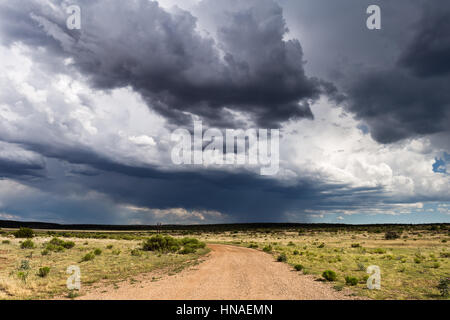 Route de terre et nuages de tempête en Arizona Banque D'Images