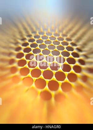 Feuille de graphène. Illustration de la structure moléculaire à l'échelle atomique de graphène, une seule couche de graphite. Il est composé d'atomes de carbone disposés de façon hexagonale liée par de fortes liaisons covalentes. Le graphène est très solide et flexible. Il transporte les électrons très efficacement et pourrait un jour remplacer le silicium dans les puces d'ordinateurs et d'autres applications des technologies. Banque D'Images