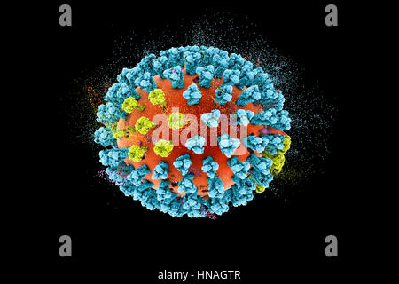 La destruction des virus de la grippe aviaire, conceptuel 3D illustration. Il s'agit d'une grippe aviaire H5N8 Particules de virus. Cette souche du virus a causé la maladie chez les oiseaux sauvages et la volaille en Europe et en Asie depuis juin 2016. Exceptionnellement, le virus provoque la mortalité chez les oiseaux sauvages, qui sont plus souvent silencieux transporteurs. En février 2017, aucun cas de la maladie ont été signalés, et le risque de transmission à l'homme devrait être faible. Banque D'Images