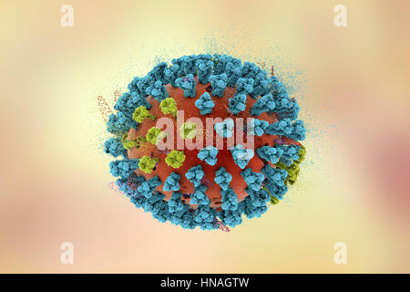 La destruction des virus de la grippe aviaire, conceptuel 3D illustration. Il s'agit d'une grippe aviaire H5N8 Particules de virus. Cette souche du virus a causé la maladie chez les oiseaux sauvages et la volaille en Europe et en Asie depuis juin 2016. Exceptionnellement, le virus provoque la mortalité chez les oiseaux sauvages, qui sont plus souvent silencieux transporteurs. En février 2017, aucun cas de la maladie ont été signalés, et le risque de transmission à l'homme devrait être faible. Banque D'Images