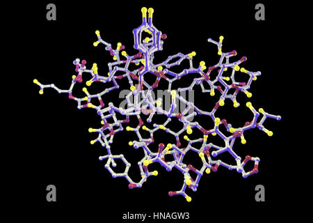 Molécule de l'insuline. Modèle d'ordinateur montrant la structure d'une molécule de l'hormone insuline. L'insuline joue un rôle important dans la régulation de la glycémie. Il est libéré par le pancréas lorsque les niveaux de sucre dans le sang sont élevés, par exemple après un repas, ce qui incite les cellules du foie, muscle, tissu adipeux et de prendre le glucose du sang et de le stocker sous forme de glycogène. Production insuffisante d'insuline conduit à une accumulation de glucose dans le sang causant le diabète. Banque D'Images