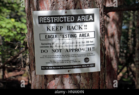 Zone de nidification du pygargue à tête blanche panneau d'avertissement sur un arbre dans l'État de New York, United States. Banque D'Images