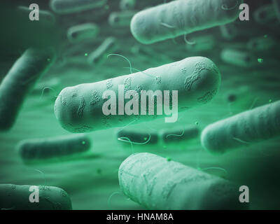 Enterobacteriaceas. Les bactéries à Gram négatif escherichia coli, Klebsiella, Salmonella, Legionella, mycobacterium tuberculosis, yersinia pestis, et sh Banque D'Images