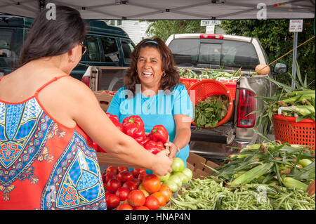 Une femme hispanique la vente de légumes et d'autres produits à un marché de producteurs sur la côte est du Maryland. Banque D'Images