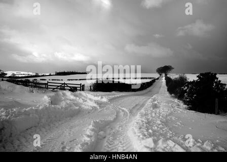 Paysage noir et blanc - de fortes chutes de neige dans le Berwickshire, Ecosse Banque D'Images