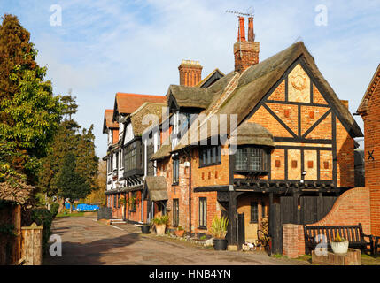 Une vue d'une chaumière et The Swan Inn à Horning, Norfolk, Angleterre, Royaume-Uni. Banque D'Images