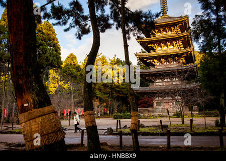 Gojyunoto, Daigo-ji , ville , Kyoto Kansai au Japon Banque D'Images